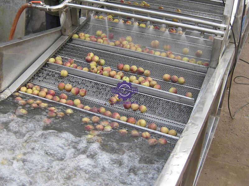 Băng tải sấy rửa được sản xuất ở đâu?
